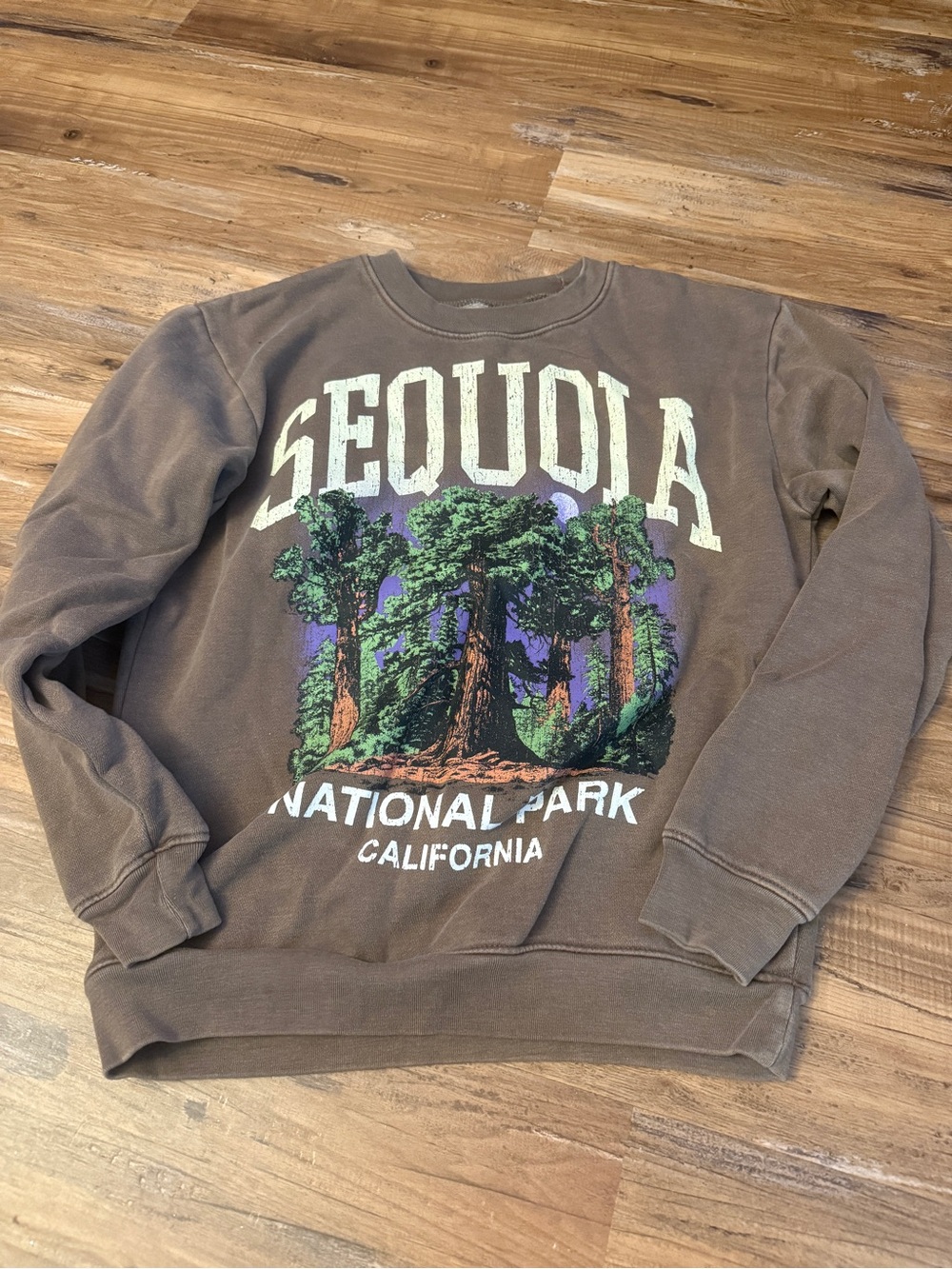 PacSun Brown Sequoia National Park Crewneck Sweatshirt